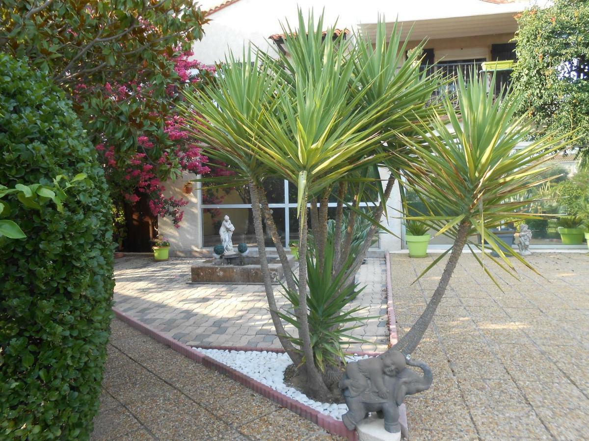 Maison Monica Exeptionnel-Jardin Paysage Zen Coursan 외부 사진